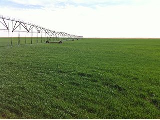 Property photo 16 - LAND AUCTION,10,560+/- Acres offered in 10 Tracts